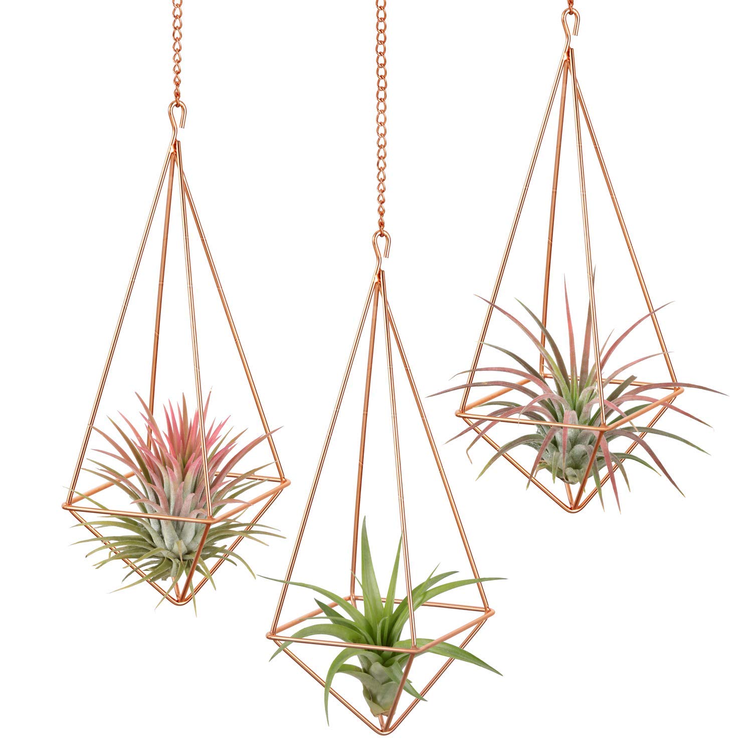 DILNAZ ART 3 Pcs Hanging Air Plant Holder Himmeli Geometric Planter Metal Airplant Rack Tillandsia Hanger with Chain in Modern Rustic Art Style for Home Decor Rose Gold (B099QTPVZS) Amazon Price History, Amazon Price Tracker