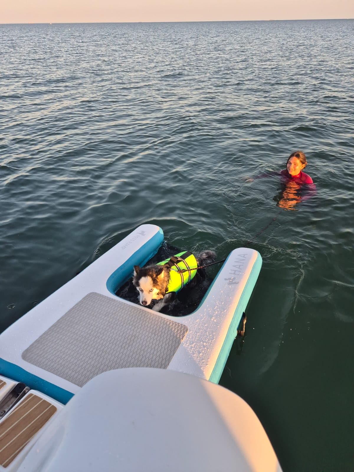 HANA Rampe de Sortie d’Eau Gonflable pour Chiens – Plateforme Flottante Premium en Dropstitch (150x100x15cm) – Échelle de Bateau, Piscine et Quai – Haute Résistance & Filet Antidérapant avec Marches