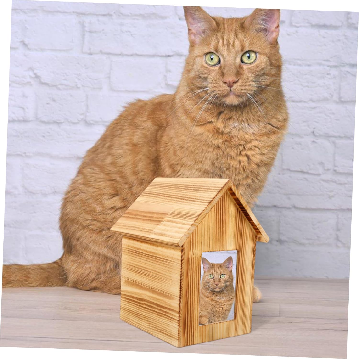 Totority Wooden Pet Urn for Dog and Cat Ashes Beautifully Crafted Memorial Casket for Pets Simple and Stylish Design for Home Display Cherish Your Beloved Animal Forever