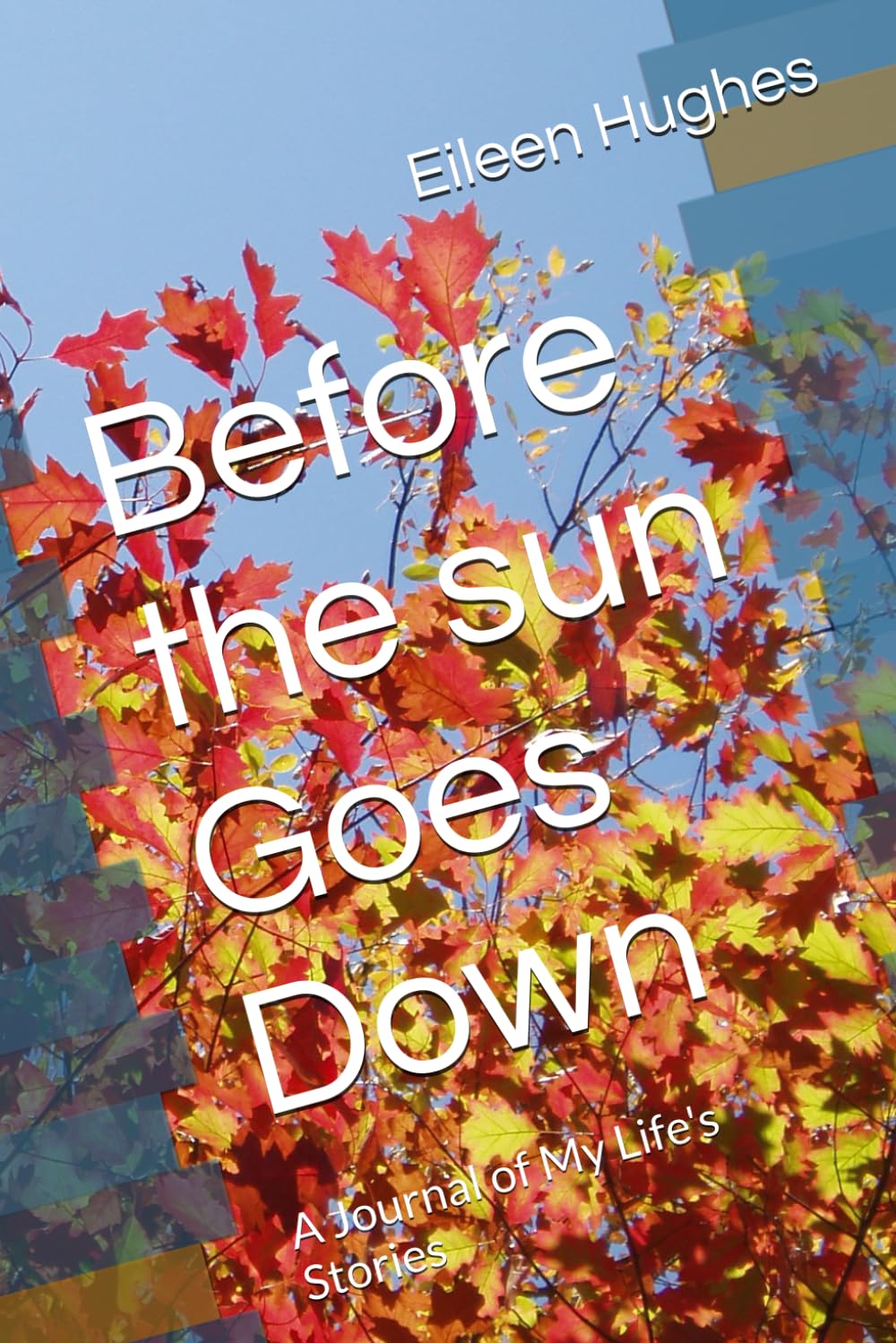 Before the sun Goes Down: A Journal of My Life's Stories