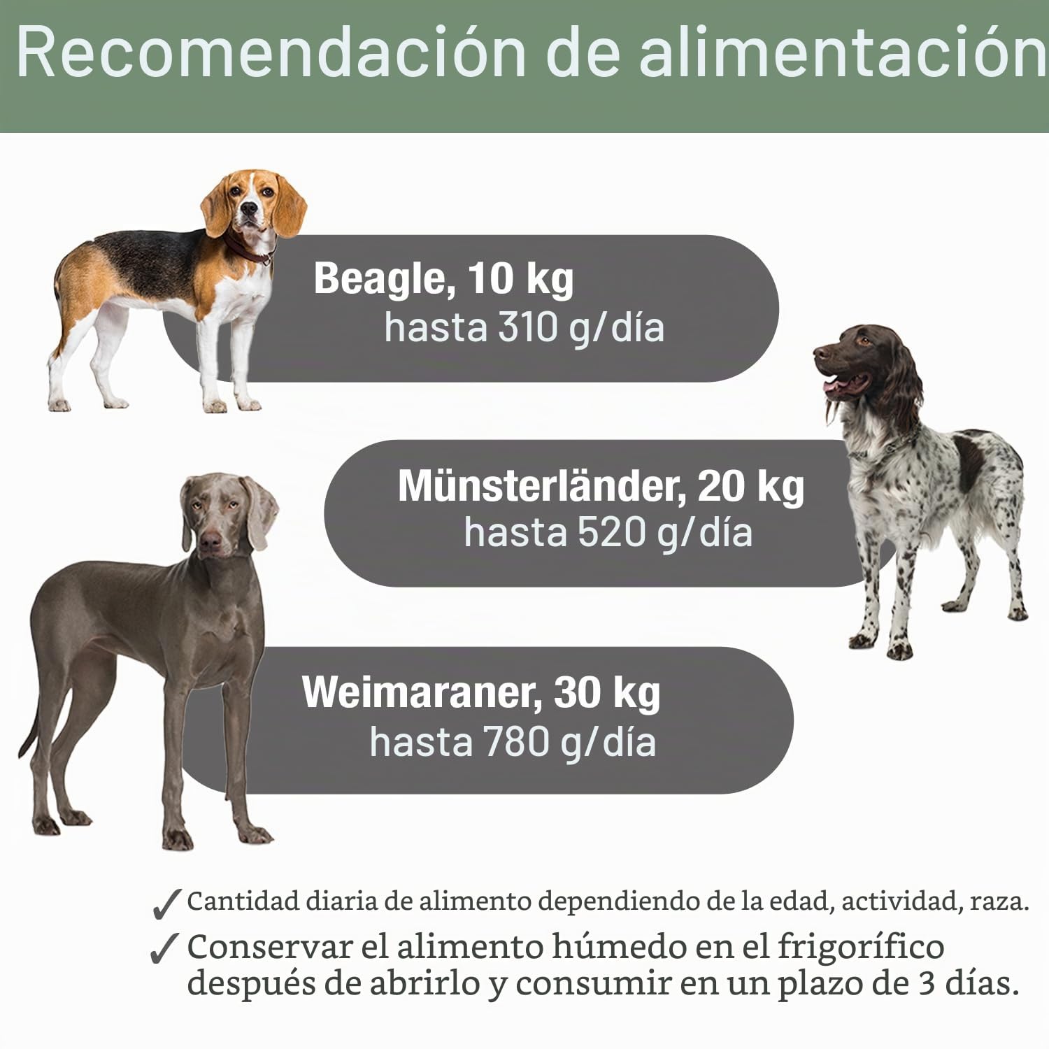 PLATINUM - Alimento para perros Menu Adult Chicken de carne - 12 x 375 g Alimento para perros rico en nutrientes como el barf - especialmente sabroso para perros pequeños y grandes - Sin BPA, probado