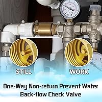 Vista 7 de Boltigen 2 unidades de 1 pulgada NPT hembra con rosca resorte válvula de retención, válvula de retención no retorno de una vía horizontal vertical