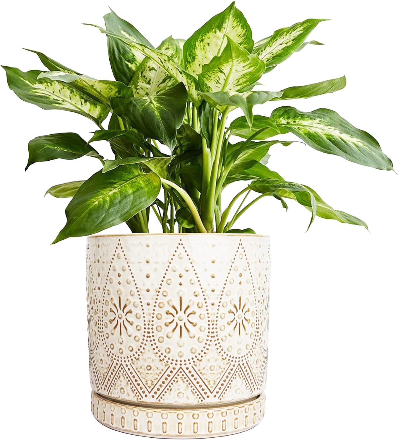 YFFSRJDJ 8 Inch Indoor Plant Pot with Drainage Holes and
