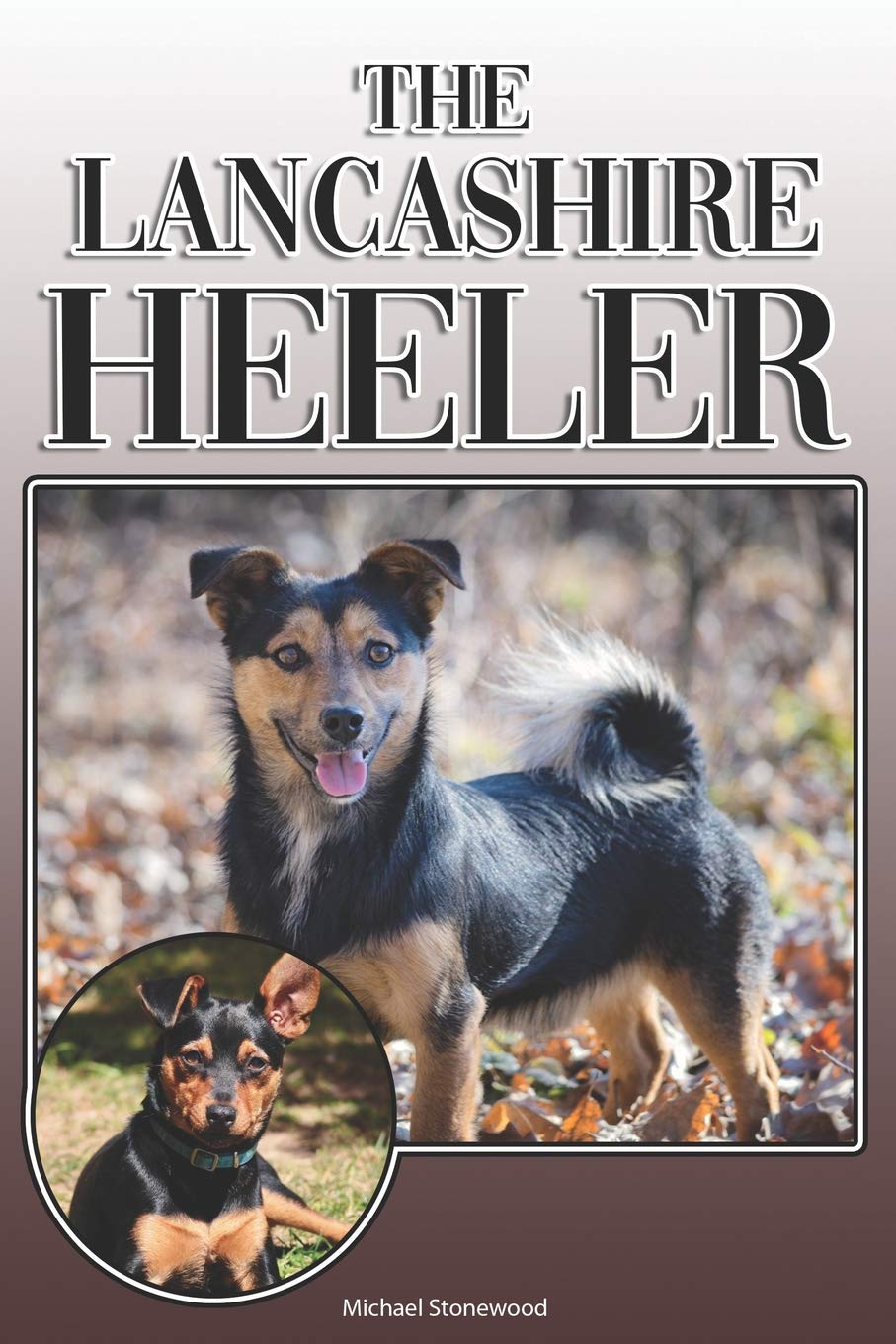 The Lancashire Heeler: A Complete and Comprehensive Owners Guide to: Buying, Owning, Health, Grooming, Training, Obedience, Understanding and Caring for Your Lancashire Heeler