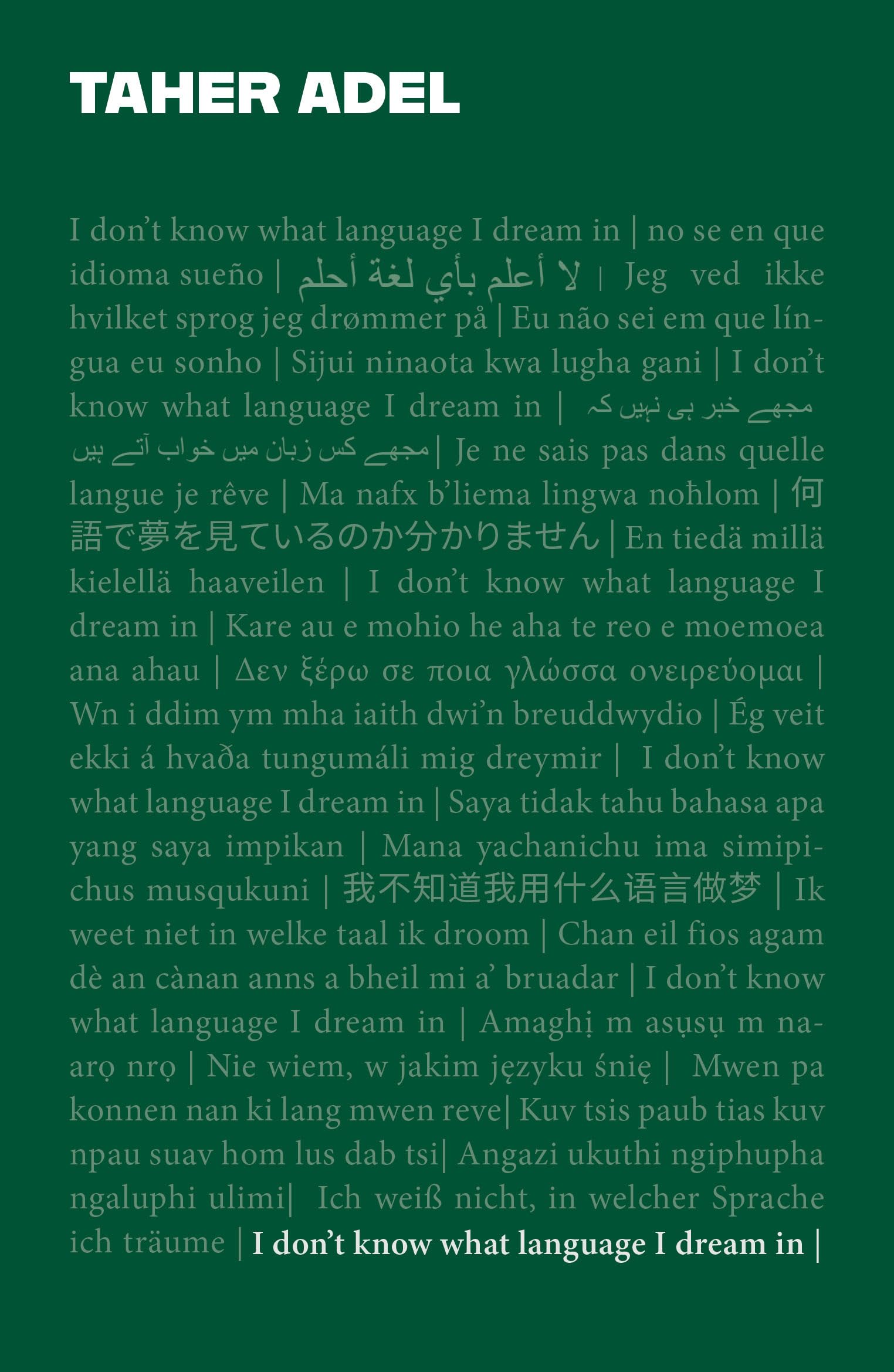 I don't know what language I dream in by Taher Adel PAPERBACK 9781913958404