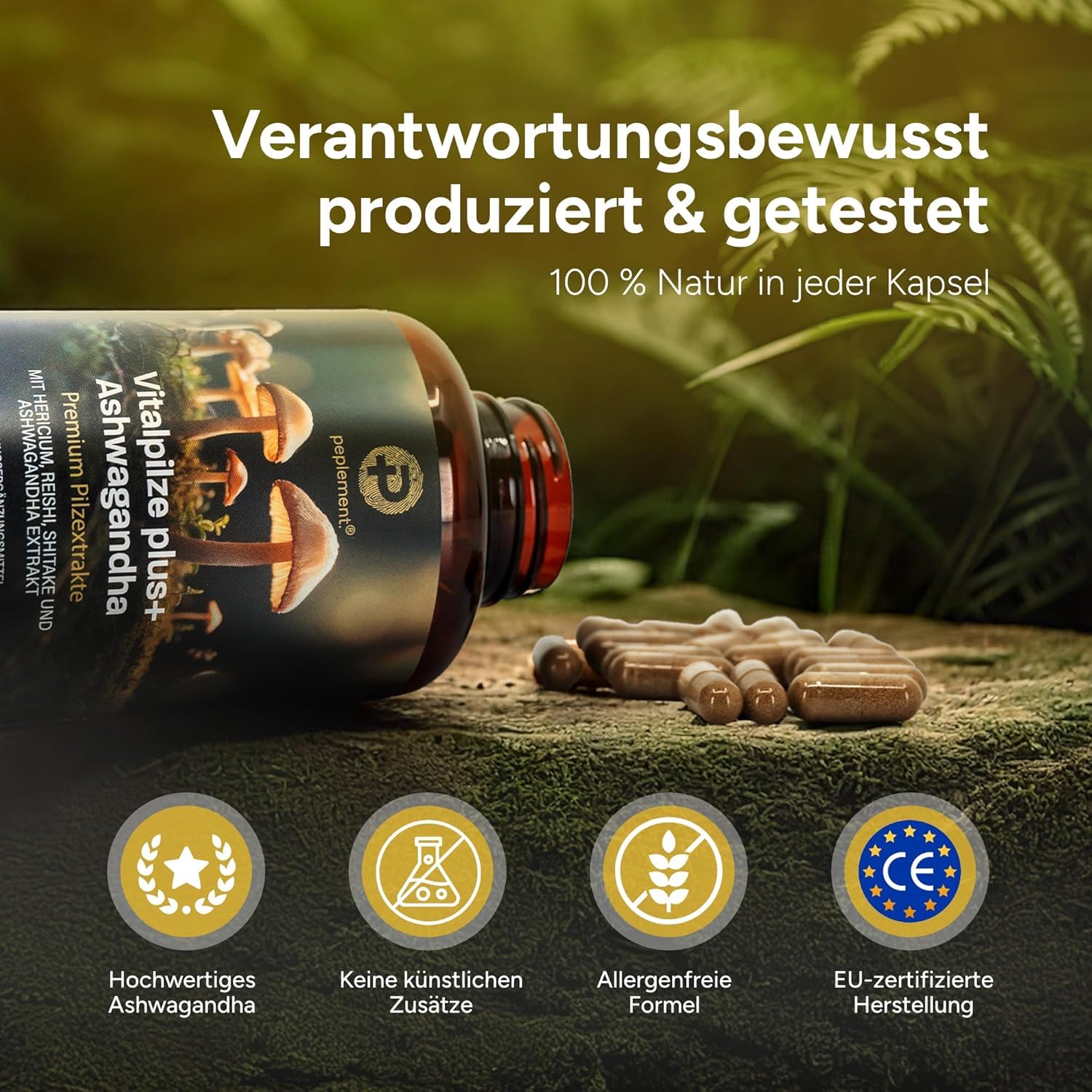 Vitalpilz plus+ Ashwagandha Kapseln | Mushroom Complex – 120 Kapseln – Lions Mane (Hericium), Reishi, Shiitake & Ashwagandha Extrakt – 30–50% Polysaccharide, 2,5% Withanolide – Vegan
