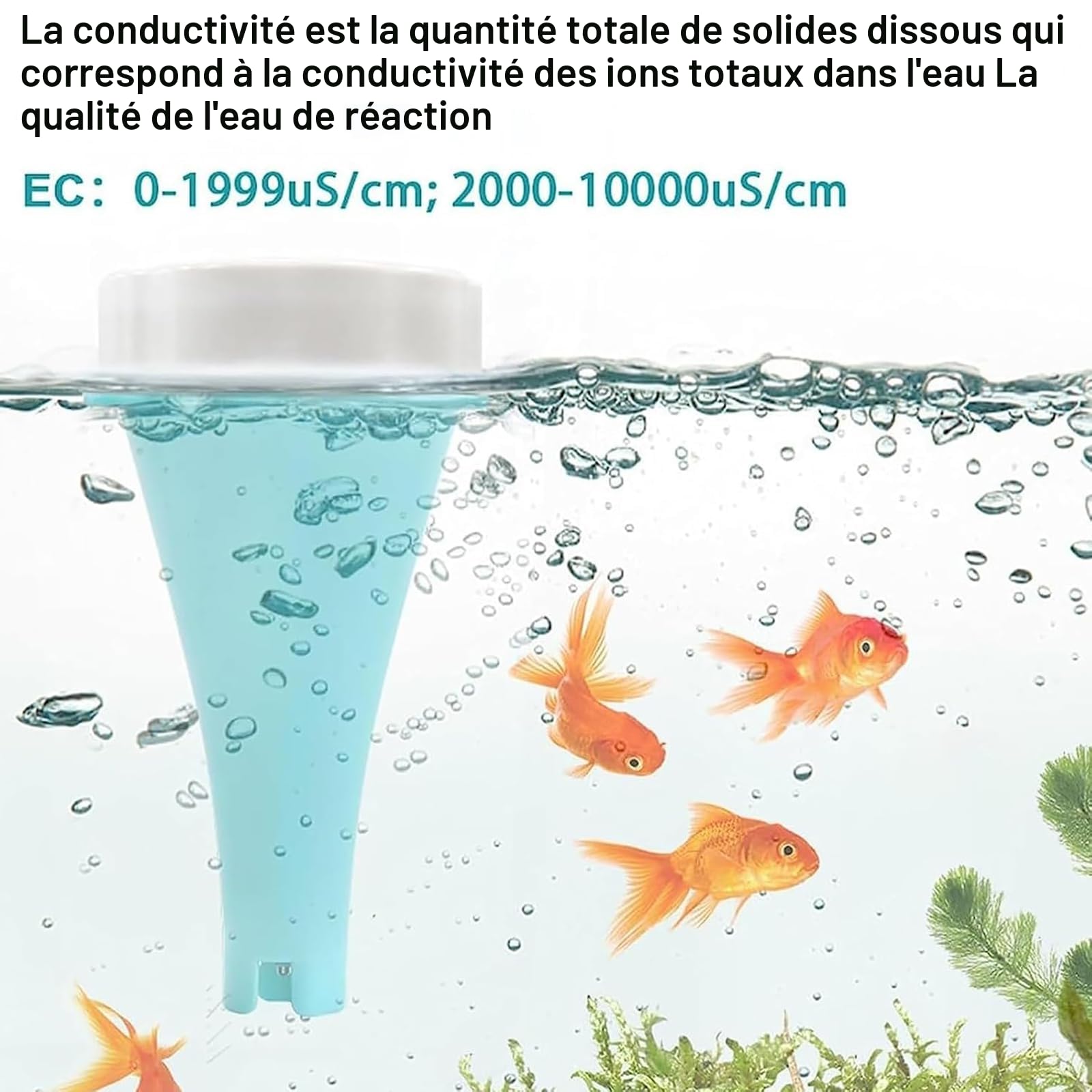 Testeur d'eau de piscine numérique 6 en 1 avec application - Mesure professionnelle du pH, du redox, du chlore, de l'EC et de la température - Détecteur de qualité de l'eau