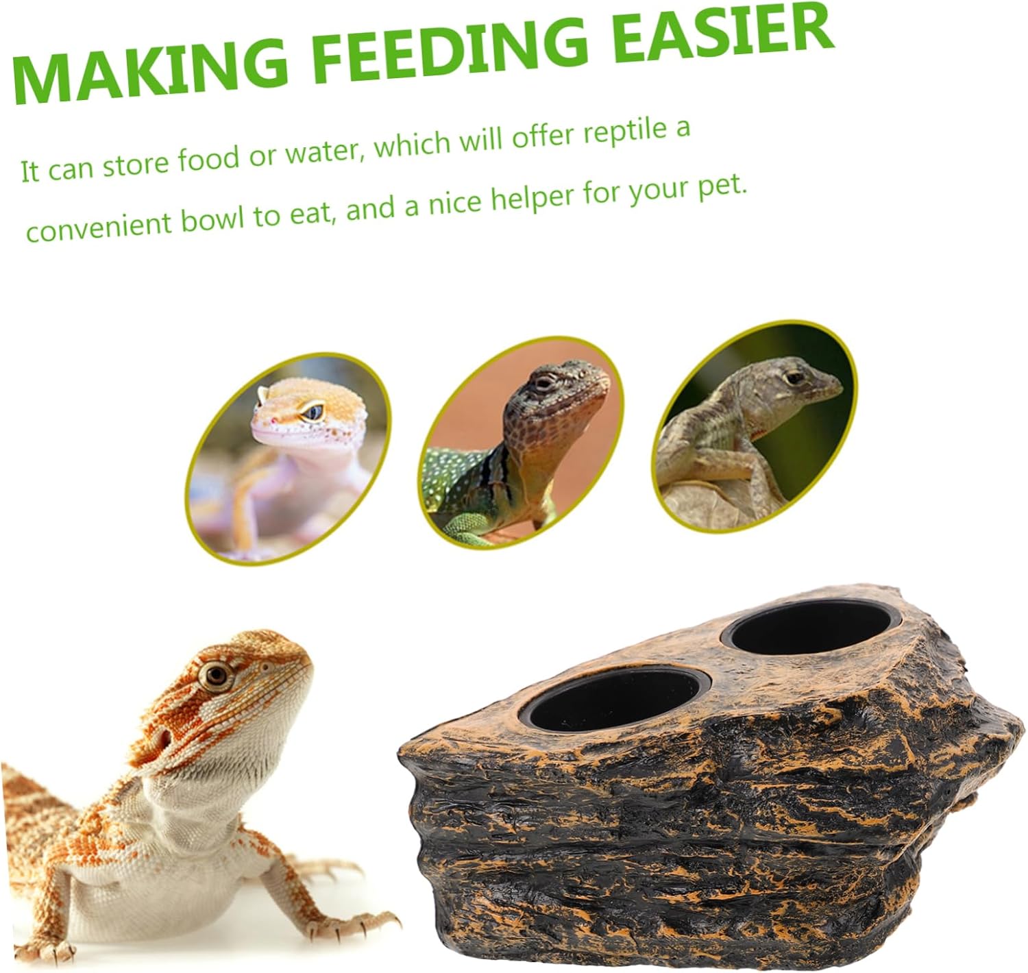 Reptile Water Bowl Reptile Feeding Bowl,Climbing Pet Food Bowl Chameleon Food Bowl Lizard Feeding Bowl Lizard Water Dish Gecko Water Dish Lizard Food Bowl Bearded