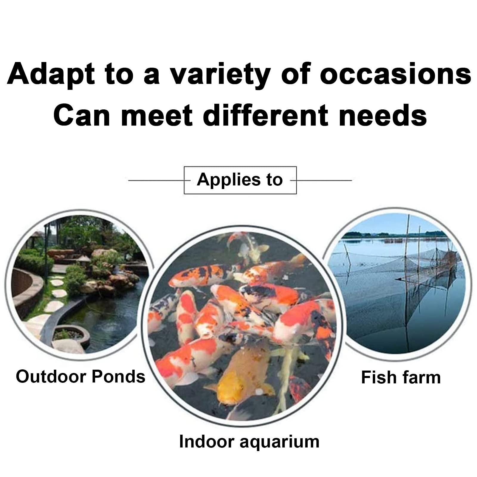 Distributeur Automatique de Grande capacité de Nourriture pour Poissons dans Les bassins de Jardin, avec écran LCD & 6 Fois Le réglage du Temps d'alimentation (5L)