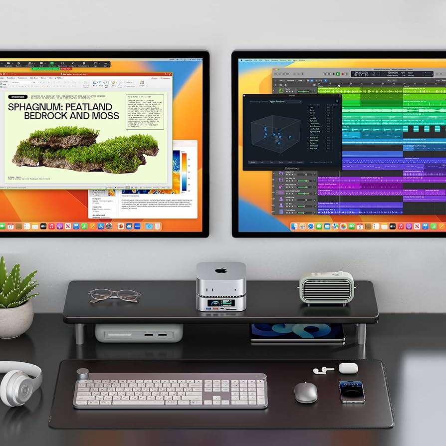 Amazon | 2025年新モデル Mac Mini M4 対応ハブ 高精細UI RayCue USB-C