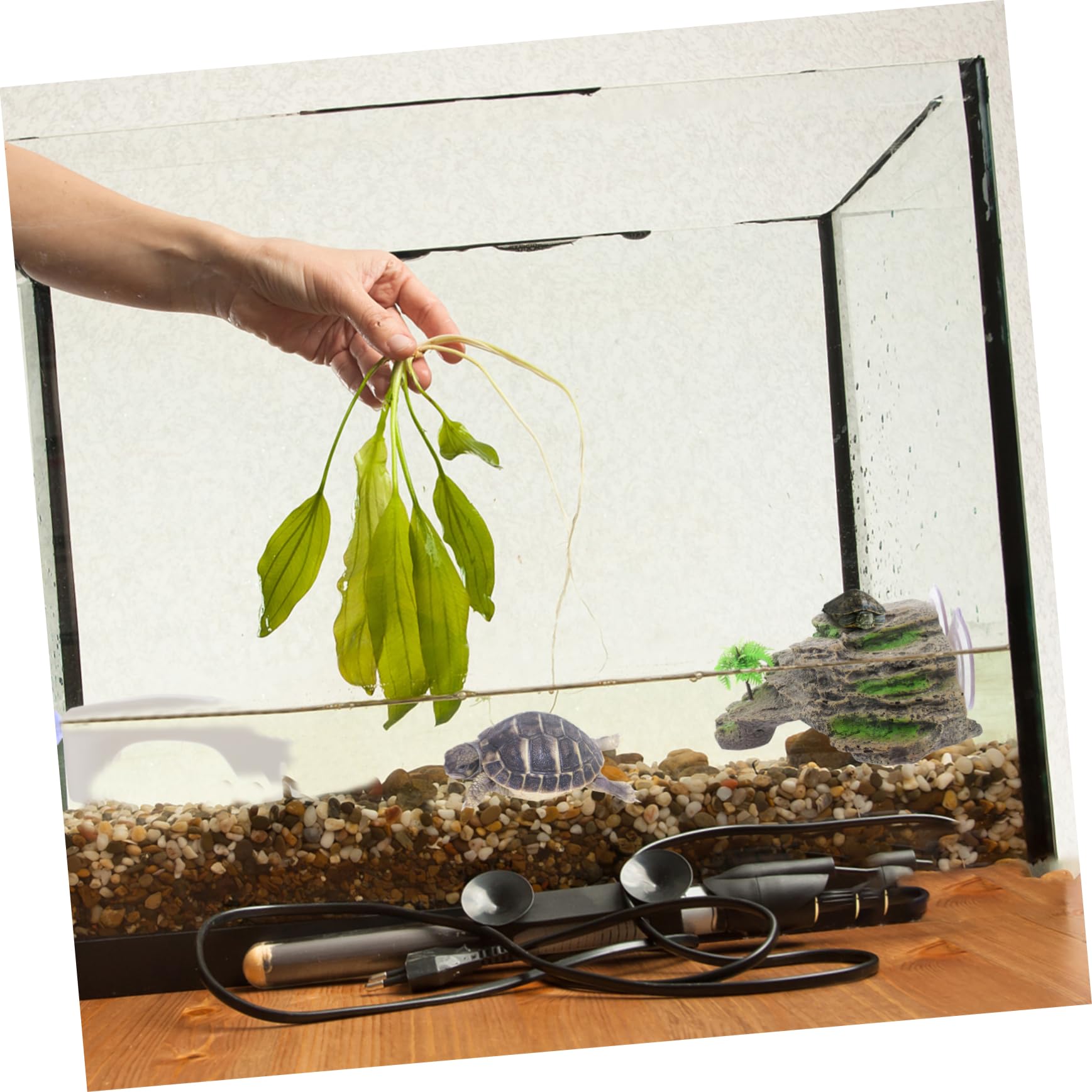 COSMEVIVI Climbing Platforms for Turtle Reptile Decor Basking Platform Multi-Functional Reptile Accessory Healthy Exercise