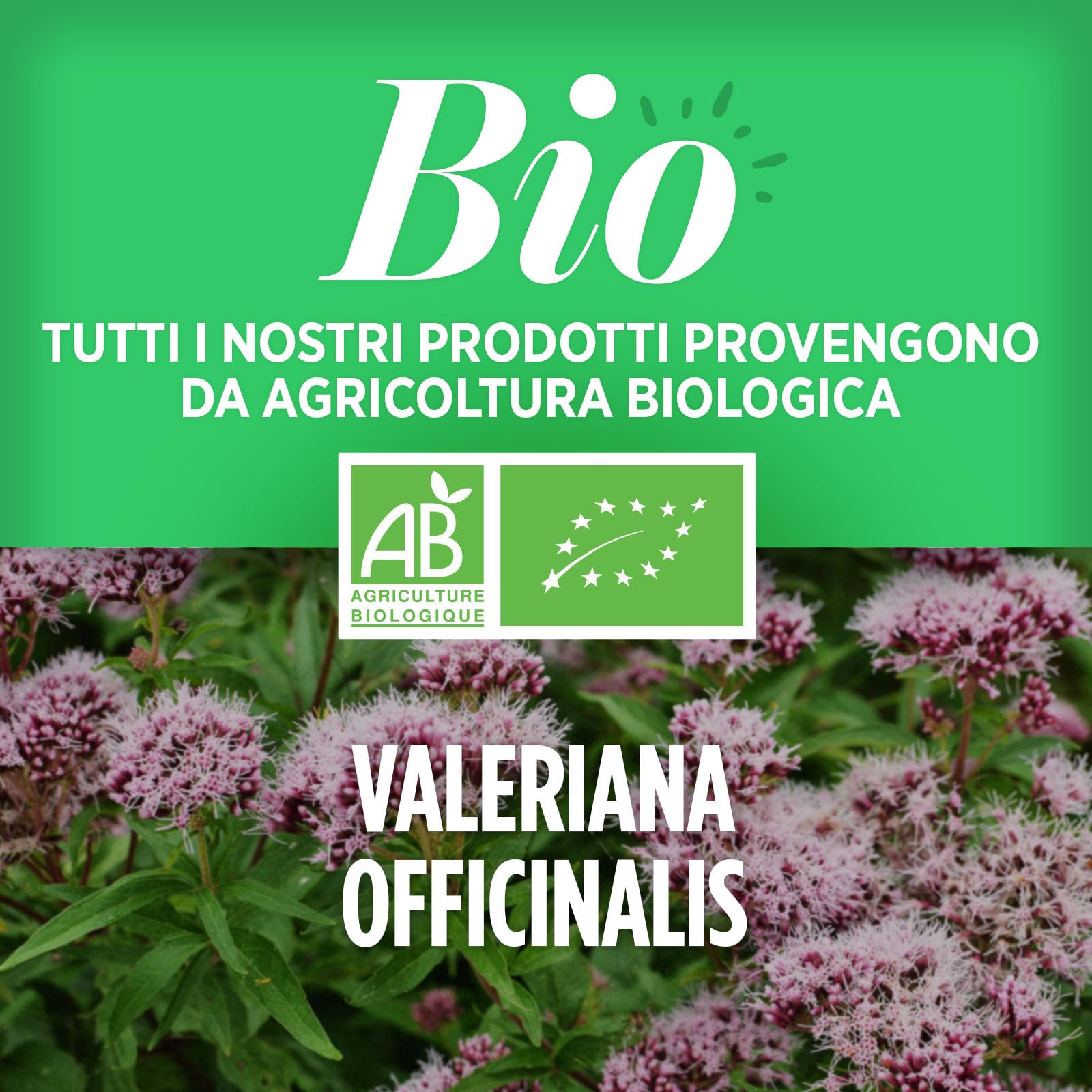 Valeriana Biologica 400mg - 200 compresse