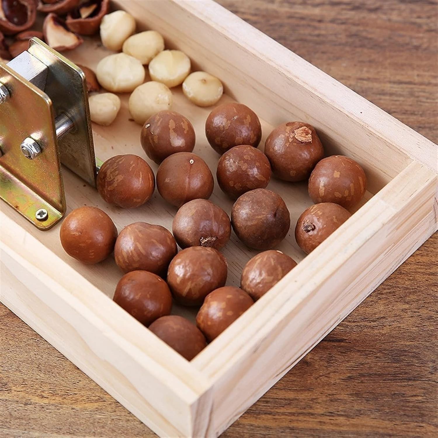 Casse-noix robuste avec pince réglable et boîte cadeau en bois, tranchant et facile à utiliser pour noix, noix de pécan, macadamia, noisettes et châtaignes