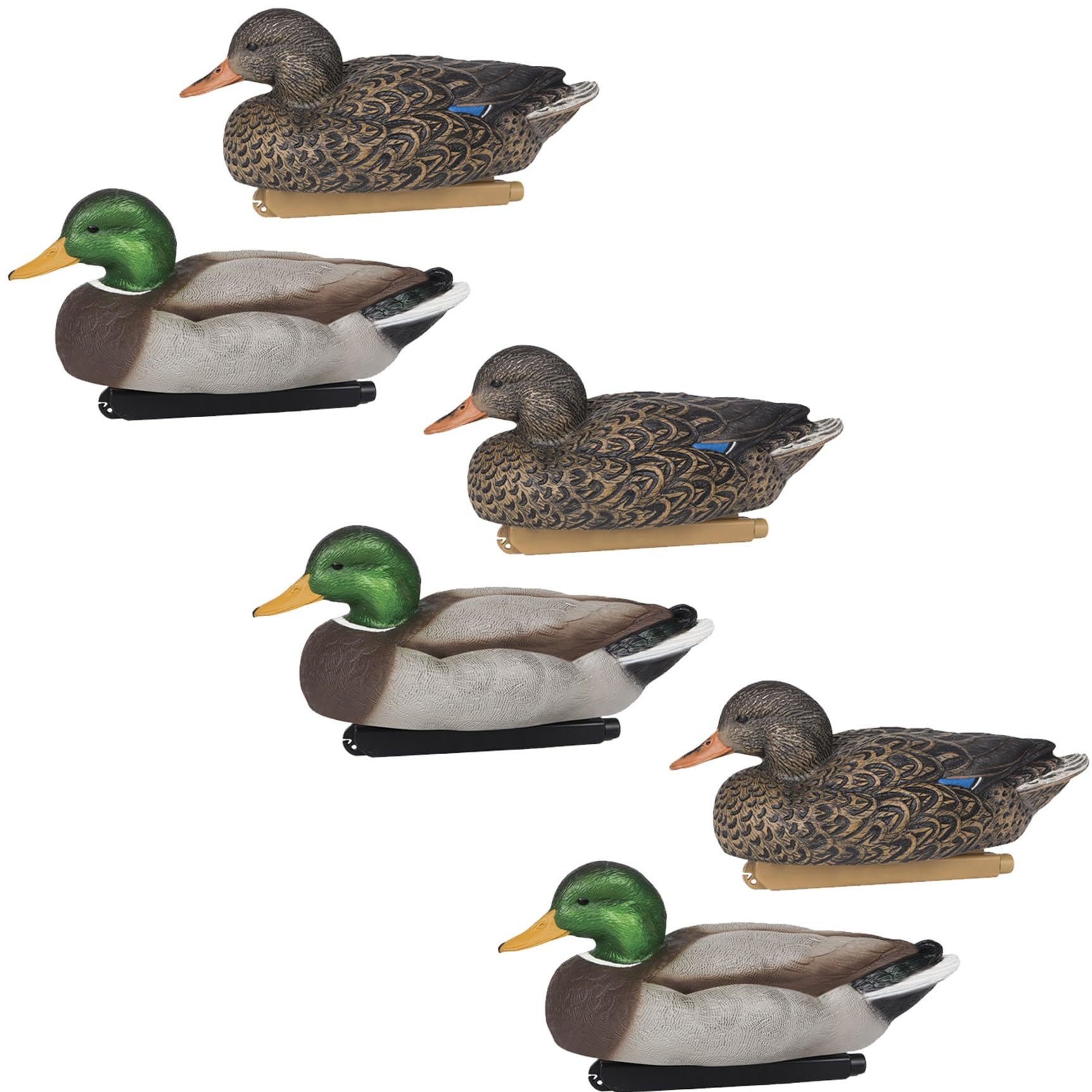 ZINK Floater Mallard Decoys | 6-Pack Life-Size Floating Decoys for Duck Hunting | 3 Drakes & 3 Hens | Hand-Painted Waterfowl Hunting Decoys with Weight Forward Keel & Front Line-Lock