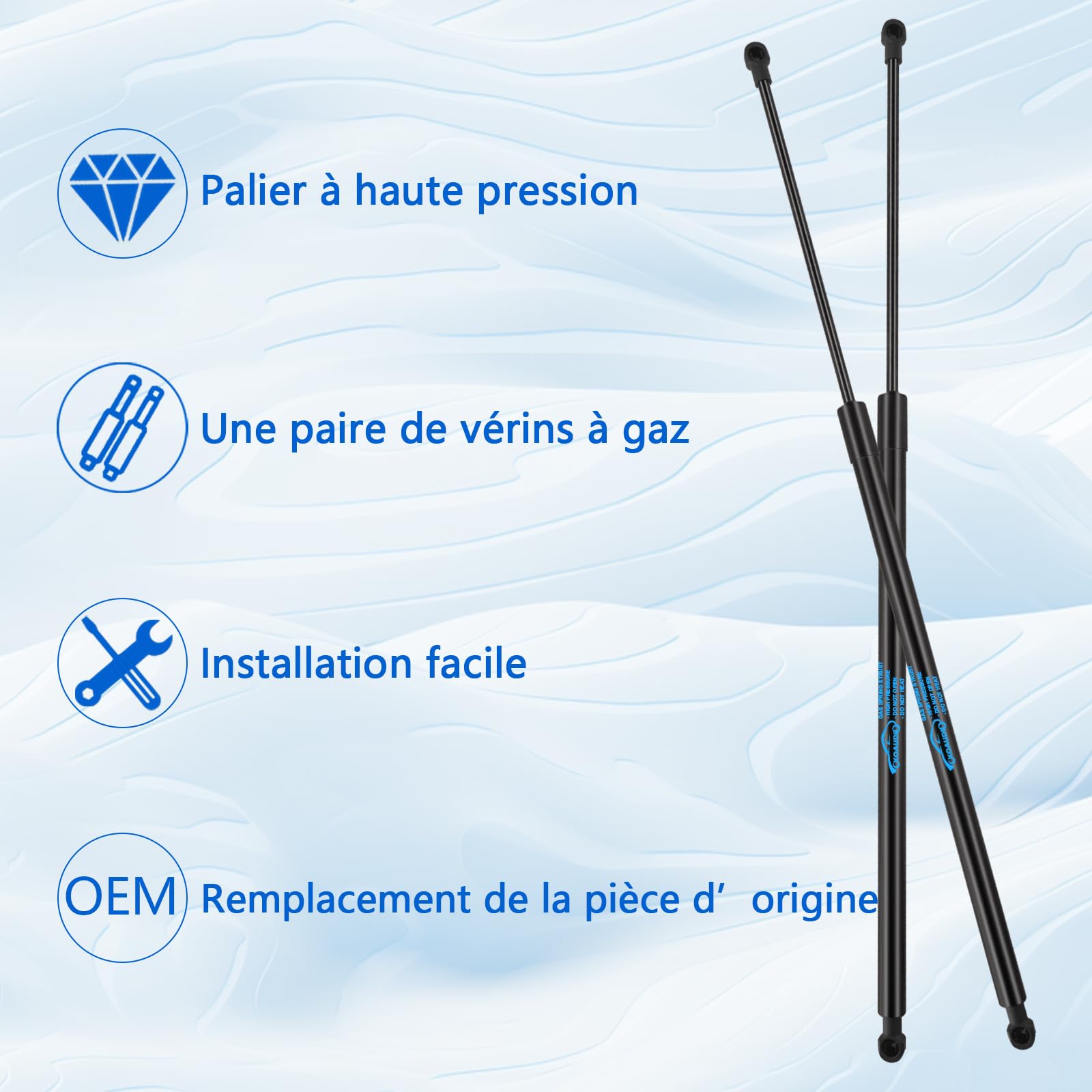 2X Ammortizzatori Posteriori per Grand Scenic 3 (2009-2016） Molle a Gas Portellone Posteriore Pistoni Portellone Posteriore per 904510005R, 904517337R, 700510524BO, 700021