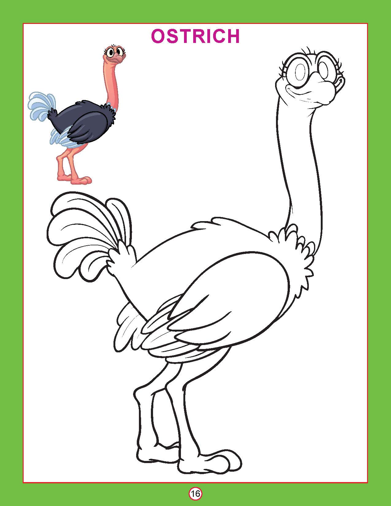 Birds Colouring Book for Kids Age 3β5 Years | Copy Colour: Birds | Fun Preschool Activity to Learn Colours & Bird Names | Large Images & Thick Paper for Easy Colouring | Early Learning Educational Book 3