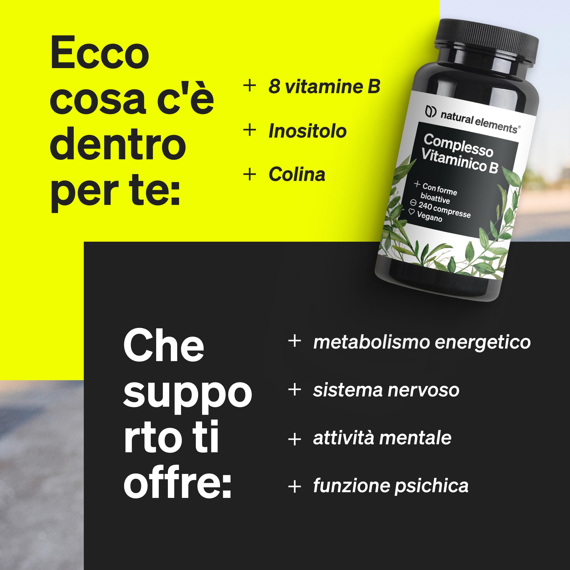 Complesso Vitaminico B – 240 compresse – con 8 vitamine B essenziali e cofattori – con forme bioattive – vegano, ad alto dosaggio – testato in laboratorio