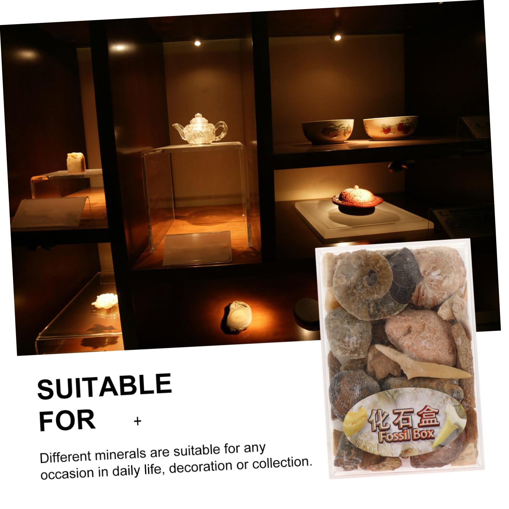 Mobestech Educational Teaching Tools Box of Real Specimen Stones Natural Stones Collection for Home Aquarium Boys and Girls
