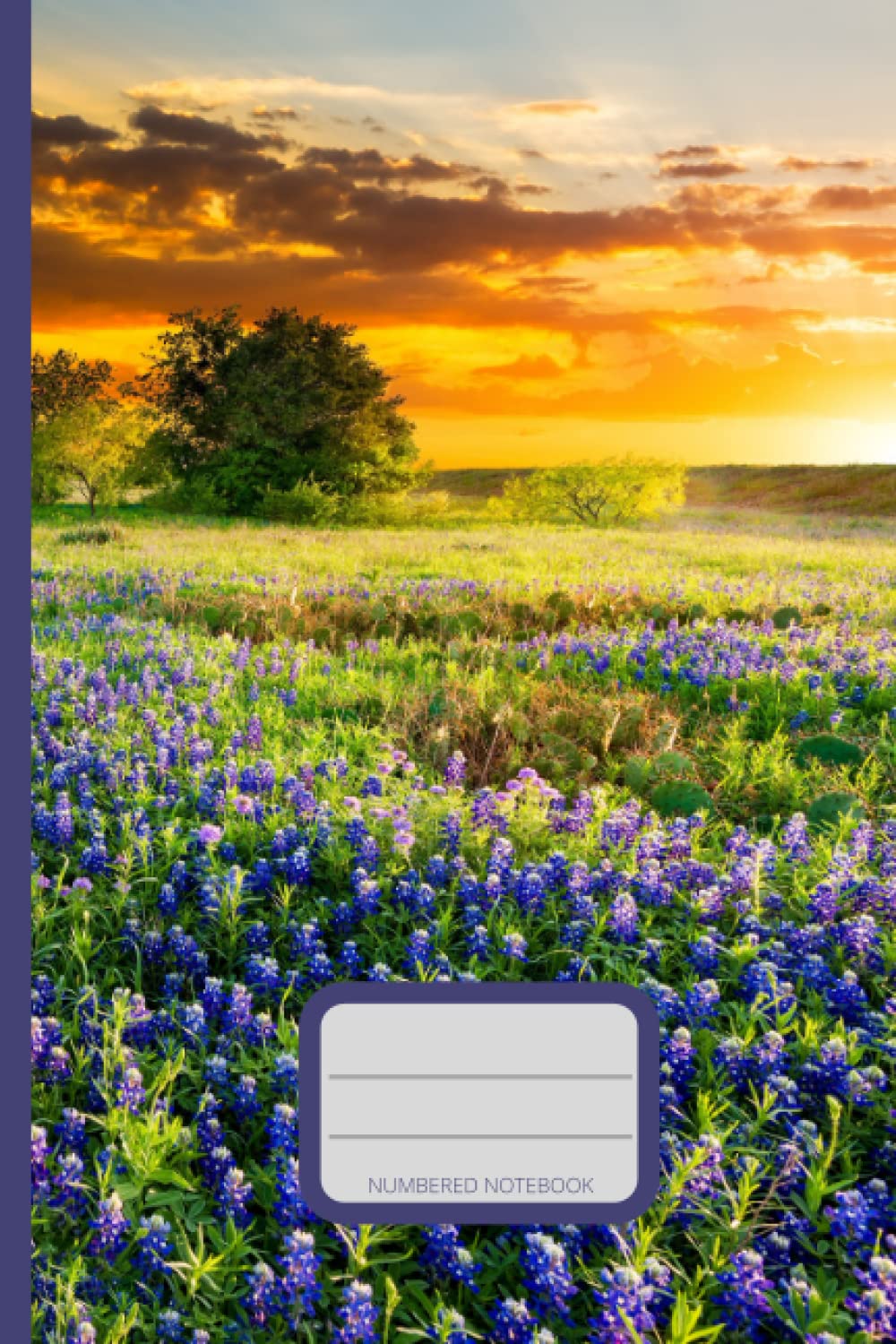Numbered Notebook- sunset over wildflower field: 120 lined numbered book with content pages