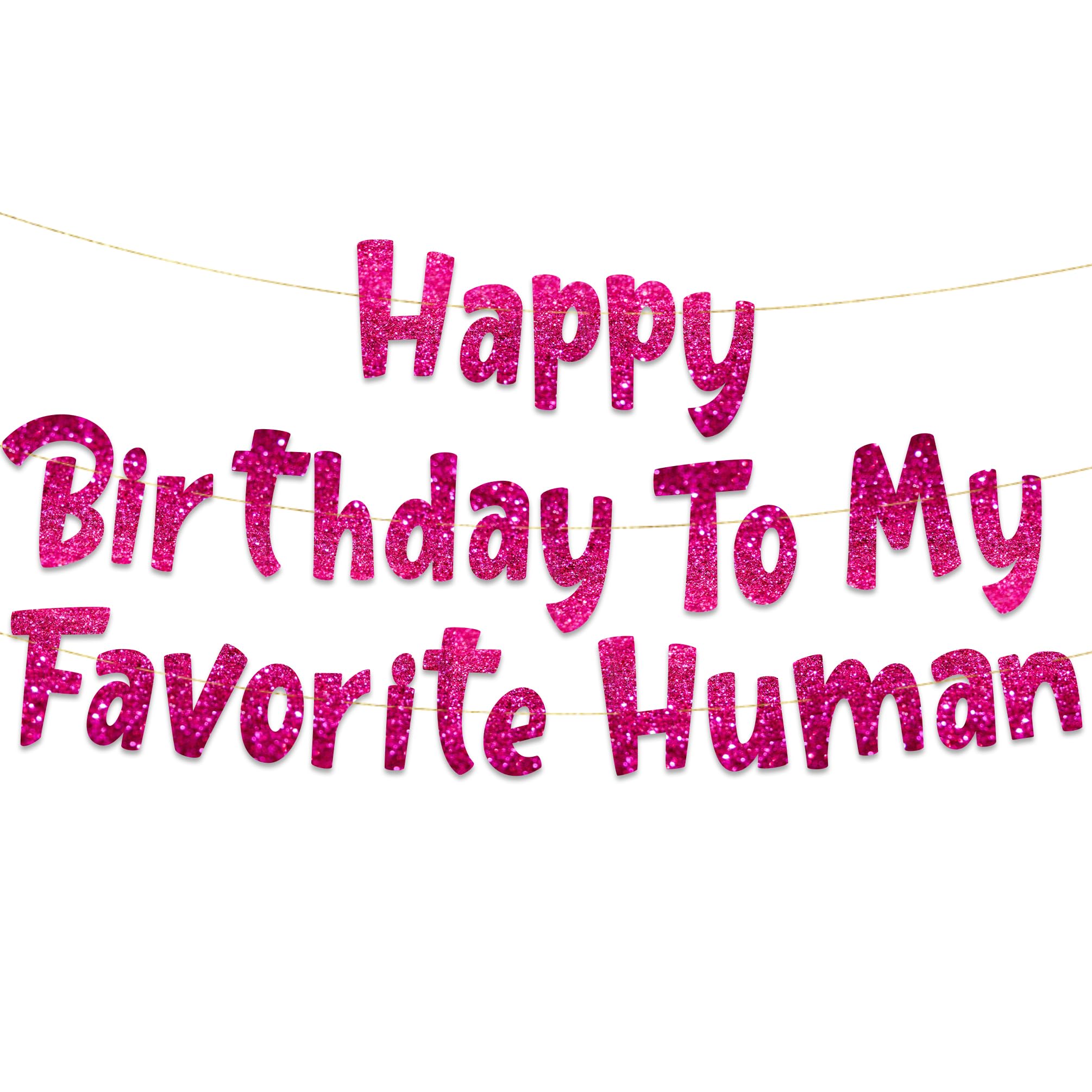 Pre-Strung Happy Birthday To My Favorite Human - Funny Birthday Pink Glitter Banner - Funny Birthday Decorations for Men and Women - Party Supplies and Gifts