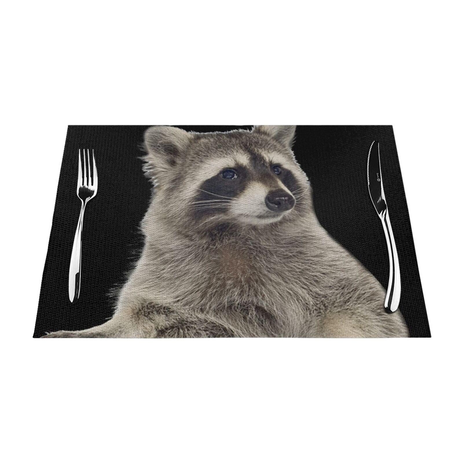 PVC Placemat Set of 4 PCS, 45x30 CM, Hairy raccoon Printed Non-Slip Heat Resistant Place Mats for Kitchen Dining Table Indoor Outdoor