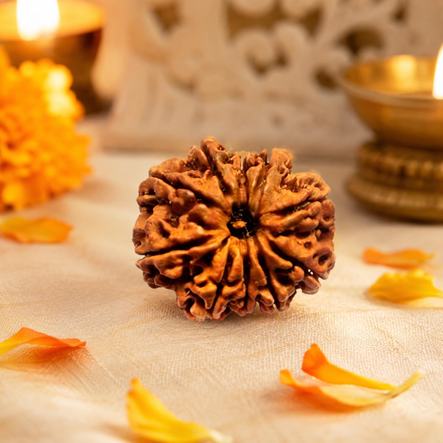 10 Mukhi Rudraksh Nepali Bead | Original Dash Mukhi Lab Certified Rudraksha for Meditation, Puja & Spiritual Practices | Natural Sacred Rudraksha-image-41
