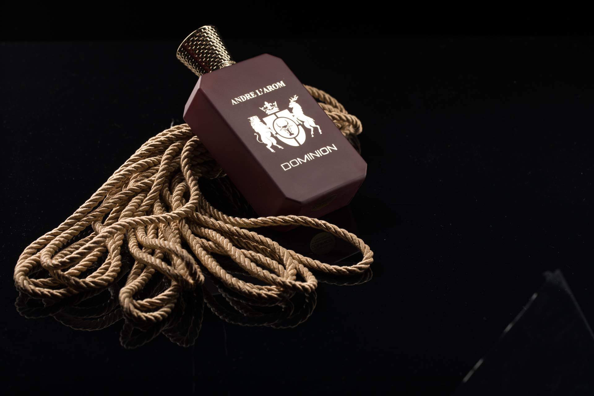 DOMINION Eau de parfum | Profumo per uomo 100 ml | lunga durata | fragranza Pelle | ottima idea regalo
