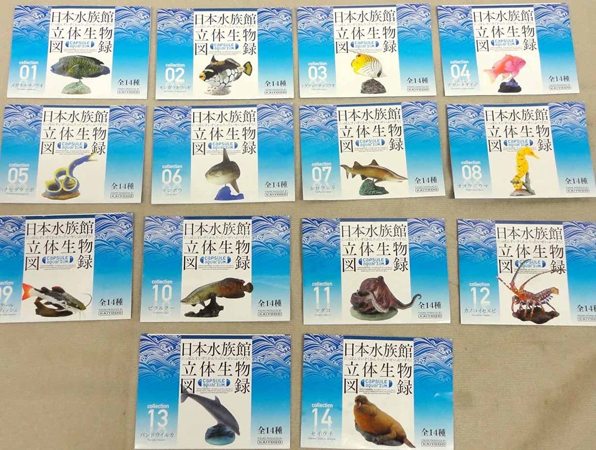 Amazon.co.jp: 日本水族館立体生物図録 しながわ水族館フィギュア 全14 