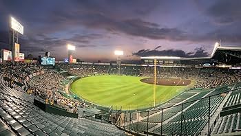 2011年ロッテ復刻版ユニフォームパンツ#53 2011年ロッテ復刻版ユニフォームパンツ#53 - メルカリ