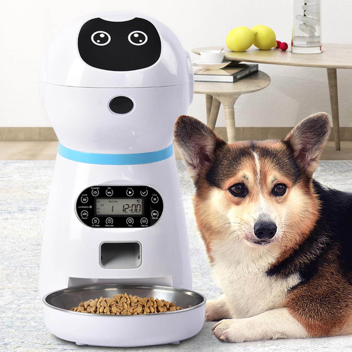 Homoyoyo Alimentador Automático para Mascotas Temporizador Digital y Robot Dispensador sin Pilas, Cuenco Inoxidable Desmontable para Gatos y Perros, Apto para Alimentación Programada