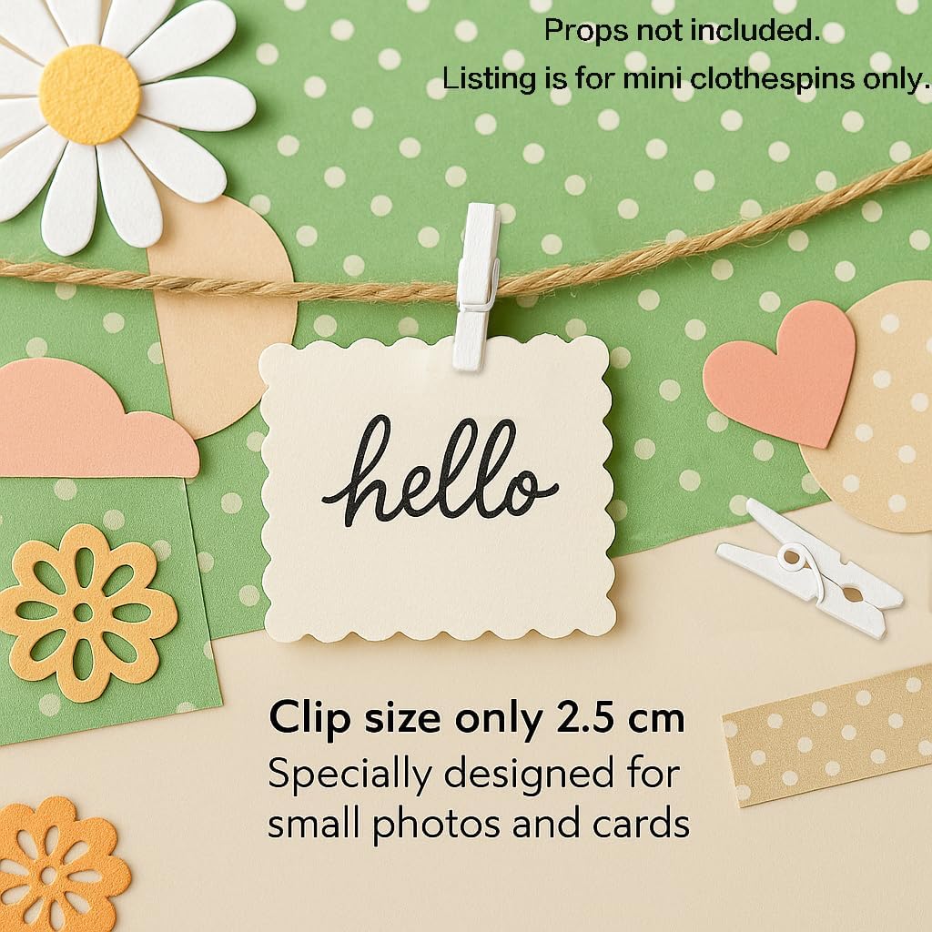 LWR CRAFTS Wooden Mini Clothespins 500 Per Pack 1" 2.5cm (White) image 4