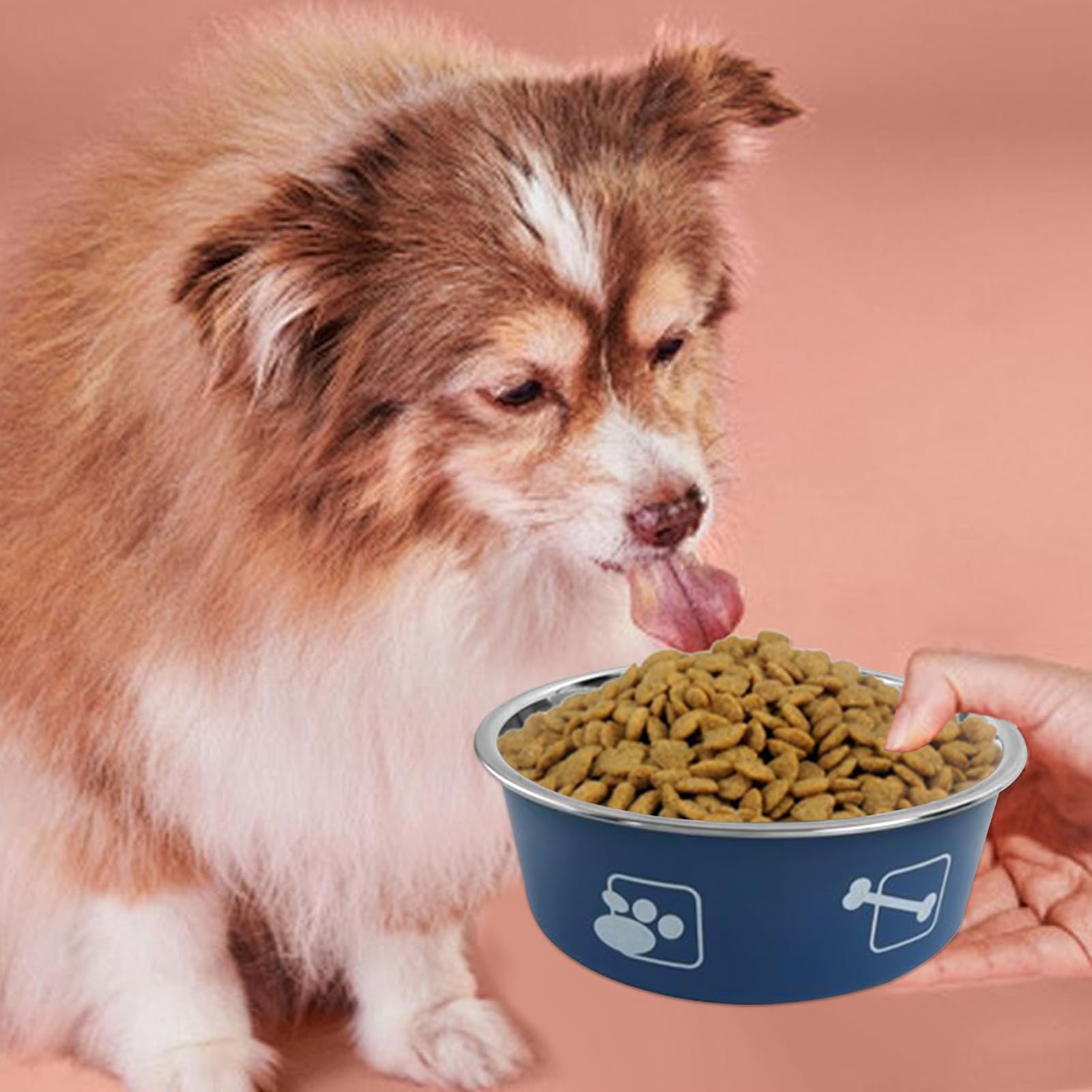 Stainless Steel Cat Bowls for Indoor Cats, Cat Dishes for Food and Water Cute, Easy to Clean Printed Large Capacity Dog Bowls, Pet Supplies for Kennel Farm Puppy Ferret Crate Home Camping