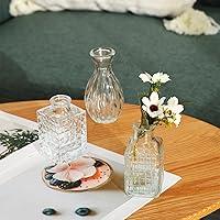 Vista 5 de Fixwal Juego de 36 Floreros de Vidrio para Capullos, Floreros Pequeños para Flores, Floreros Transparentes para Capullos para Centros de Mesa