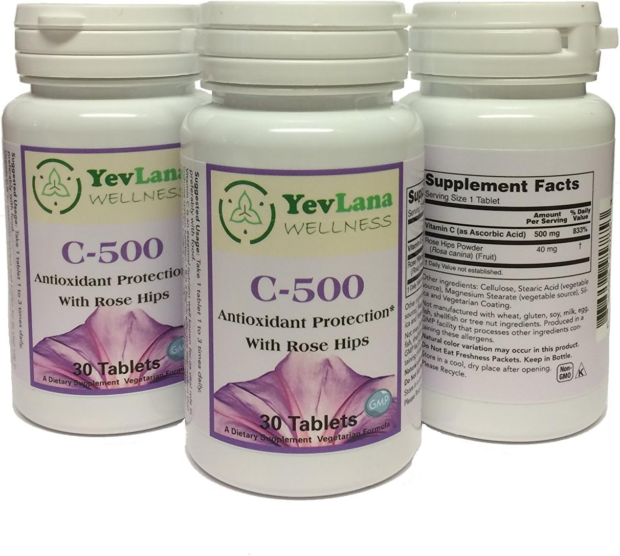 Vitamin C 500 with Rose Hips - Holistic (1)