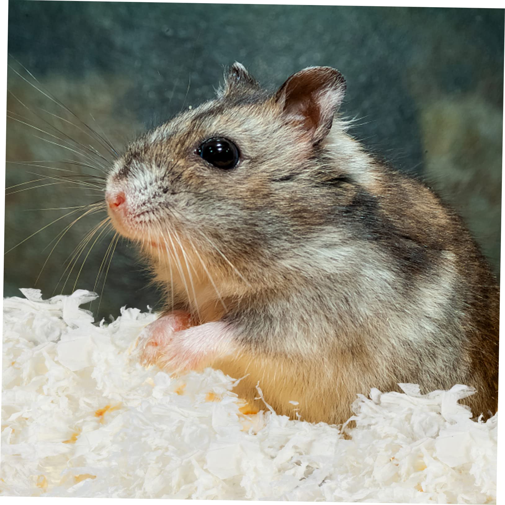 POPETPOP Hamsterstreu mit Geringer Staubentwicklung, 1 Pack, Papier, Weiß