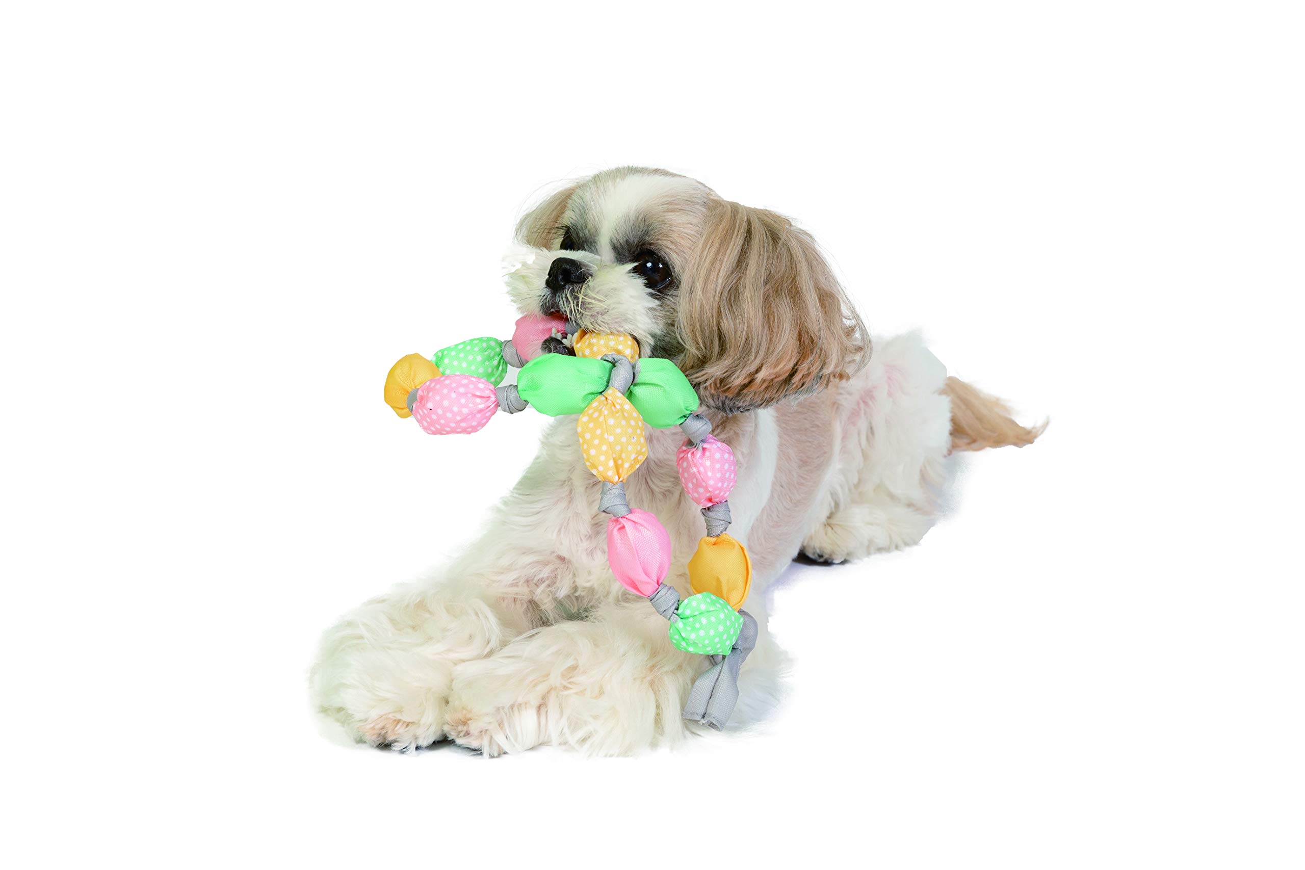 Amazon | ファッド・プラス (FAD+) 犬用おもちゃ キャンディー