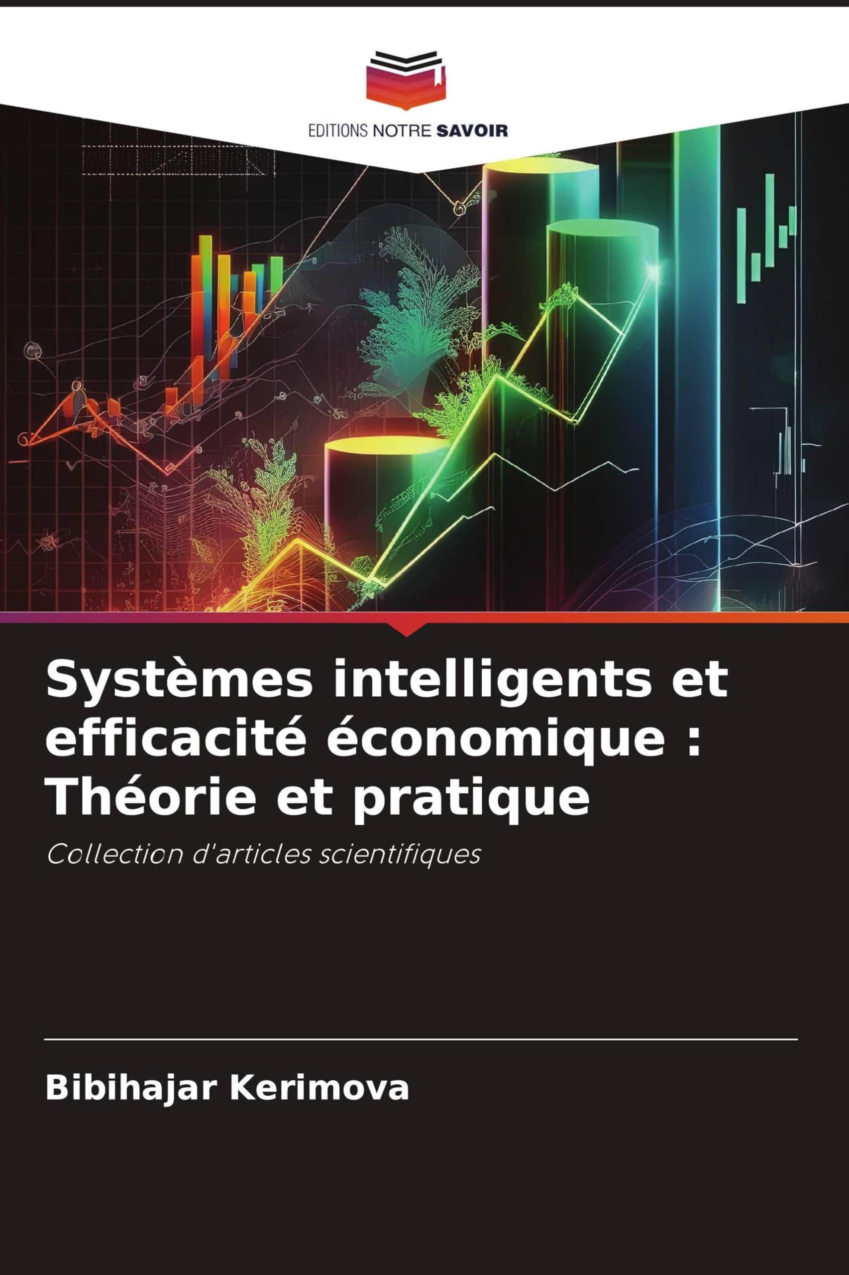 Systèmes intelligents et efficacité économique: Théorie et pratique