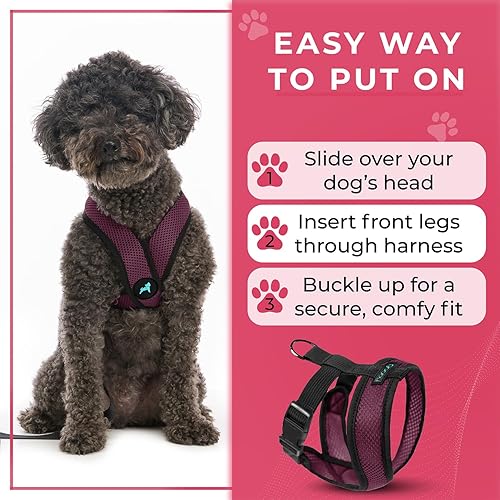 Miniatura 8 de Gooby Comfort X Head-In - Arnés para perro con diseño en X patentado anti ahogo y anti tirones para perros pequeños o medianos, para uso en