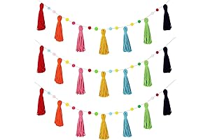 3 Pcs Colorful Pom Pom Tassel Garland, Rainbow Boho Tassel Banner