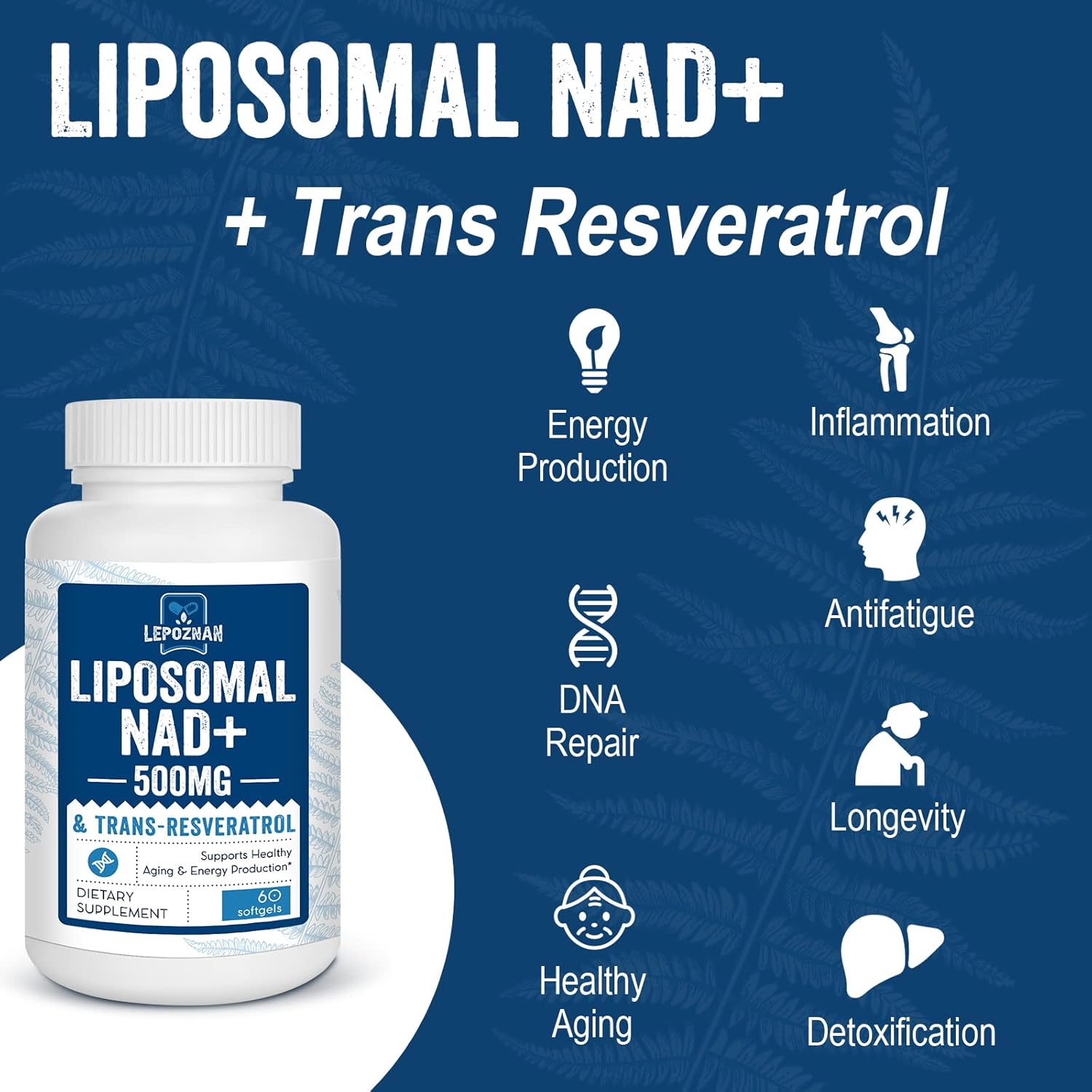 Liposomal NAD+ 500 mg + Trans-Resveratrol 300 mg,Superior Absorption,True NAD Supplement Efficient Than NMN,Nicotinamide Riboside for Cellular Energy Metabolism & DNA Repair,Healthy Aging,120 Softgels - Image 5