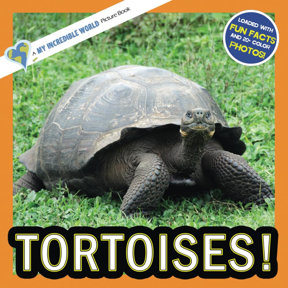 Tortoises!: A My Incredible World Picture Book for Children (My Incredible World: Nature and Animal Picture Books for Children)