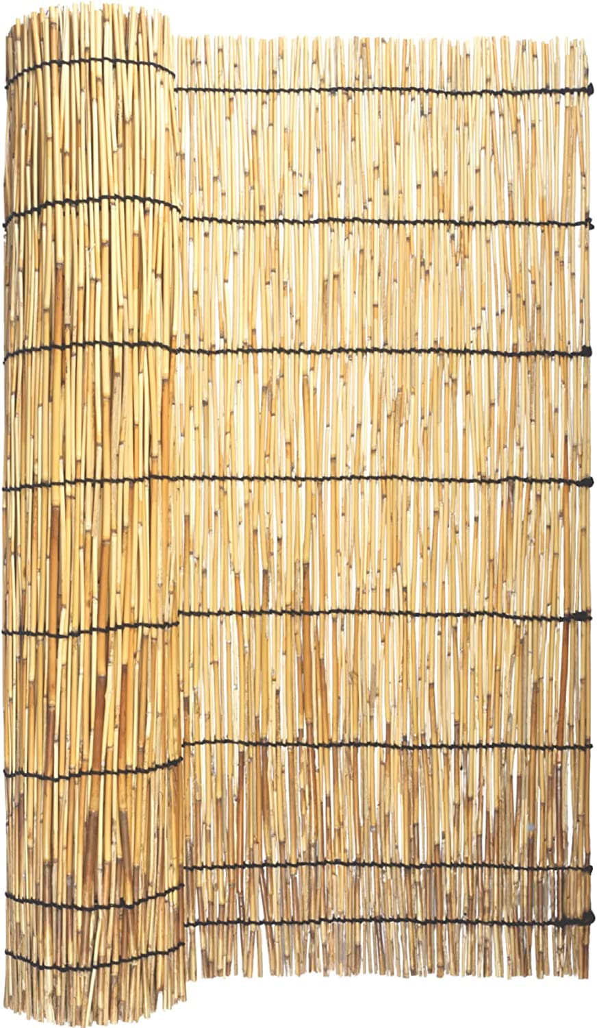 HOMETASTE Natural Reed Fencing,Garden Fence,Privacy Fence Panels for Backyard or Patio, Highly Dense Whole Reed Peeled Canes Fence Panels