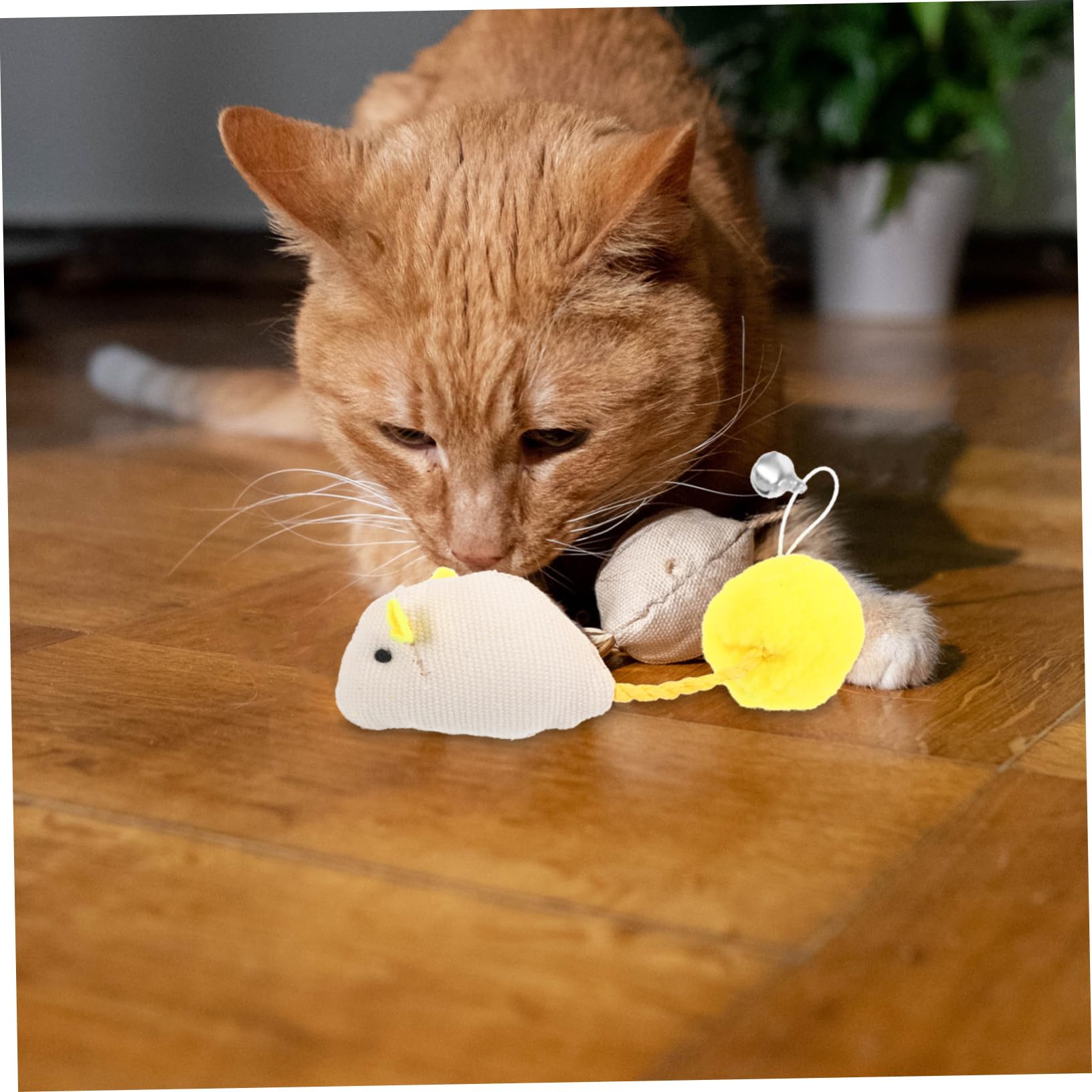 6pièces Souris pour Chats Lot de Jouets Colorés avec Clochettes Accessoires Amusants pour Chats Intérieur pour Éveiller Instinct De Chasse