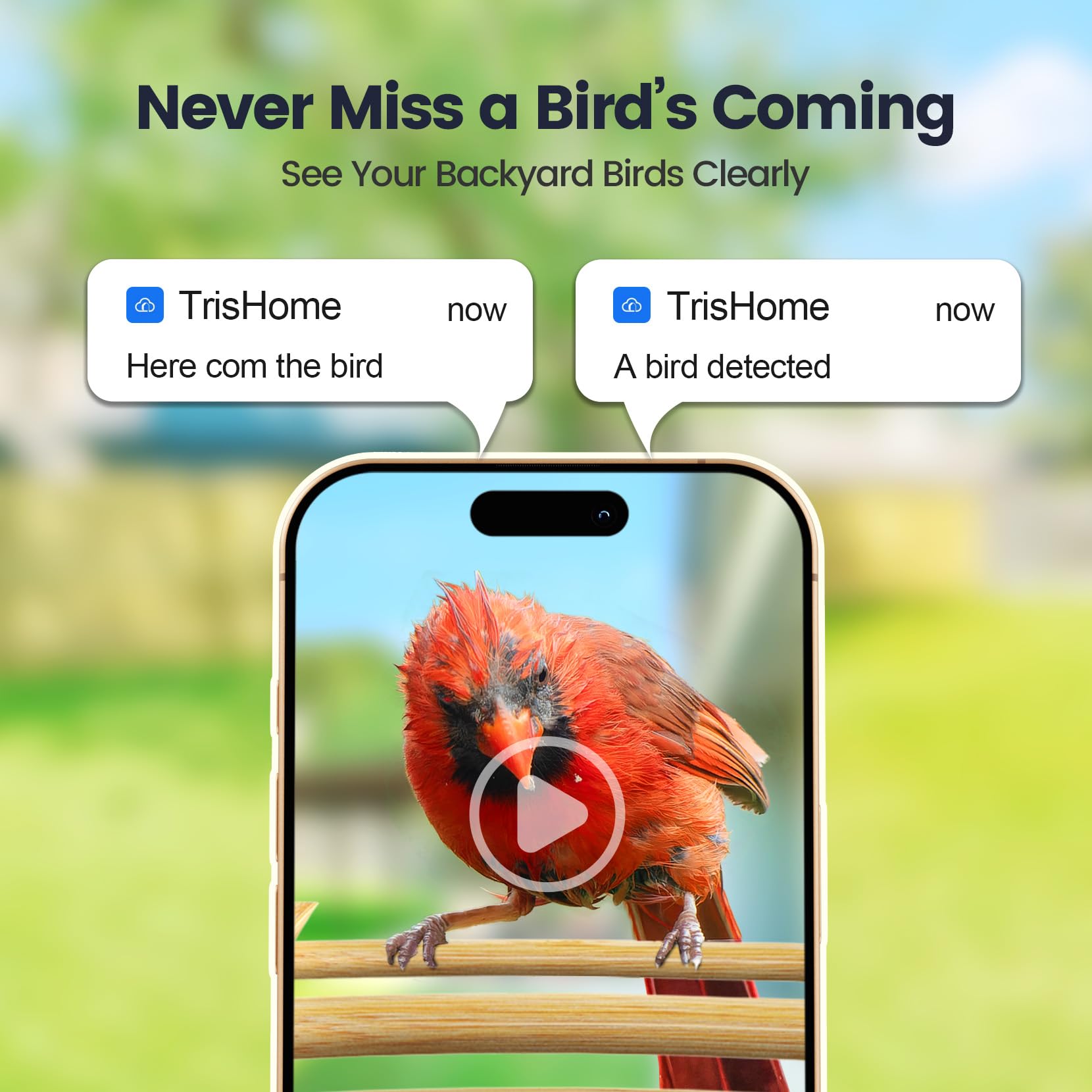 Mangiatoia intelligente per uccelli con fotocamera, ricarica solare a lunga durata, versione limitata Smart Bird Feeder, AI identifica oltre 16.000 specie di uccelli, scheda SD da 128 GB per