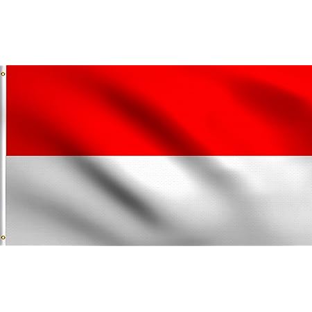 Amazon Com Dmse Indonesia Flag 3x5ft Foot 100 Polyester 100d Indonesian Flag Garden Outdoor