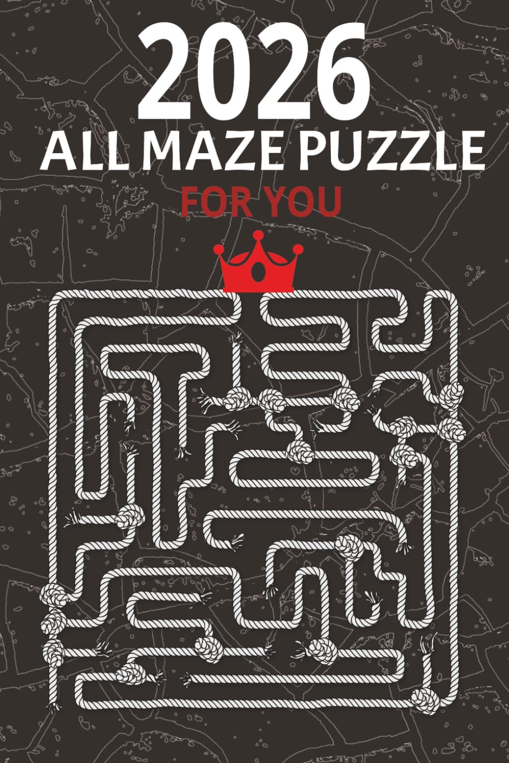 Mazes For ADULTS Maze Activity Book For ADULTS The Ultimate Brain Health Puzzle Book for Adults: Exercise your mind with the ultimate collection of brain activities