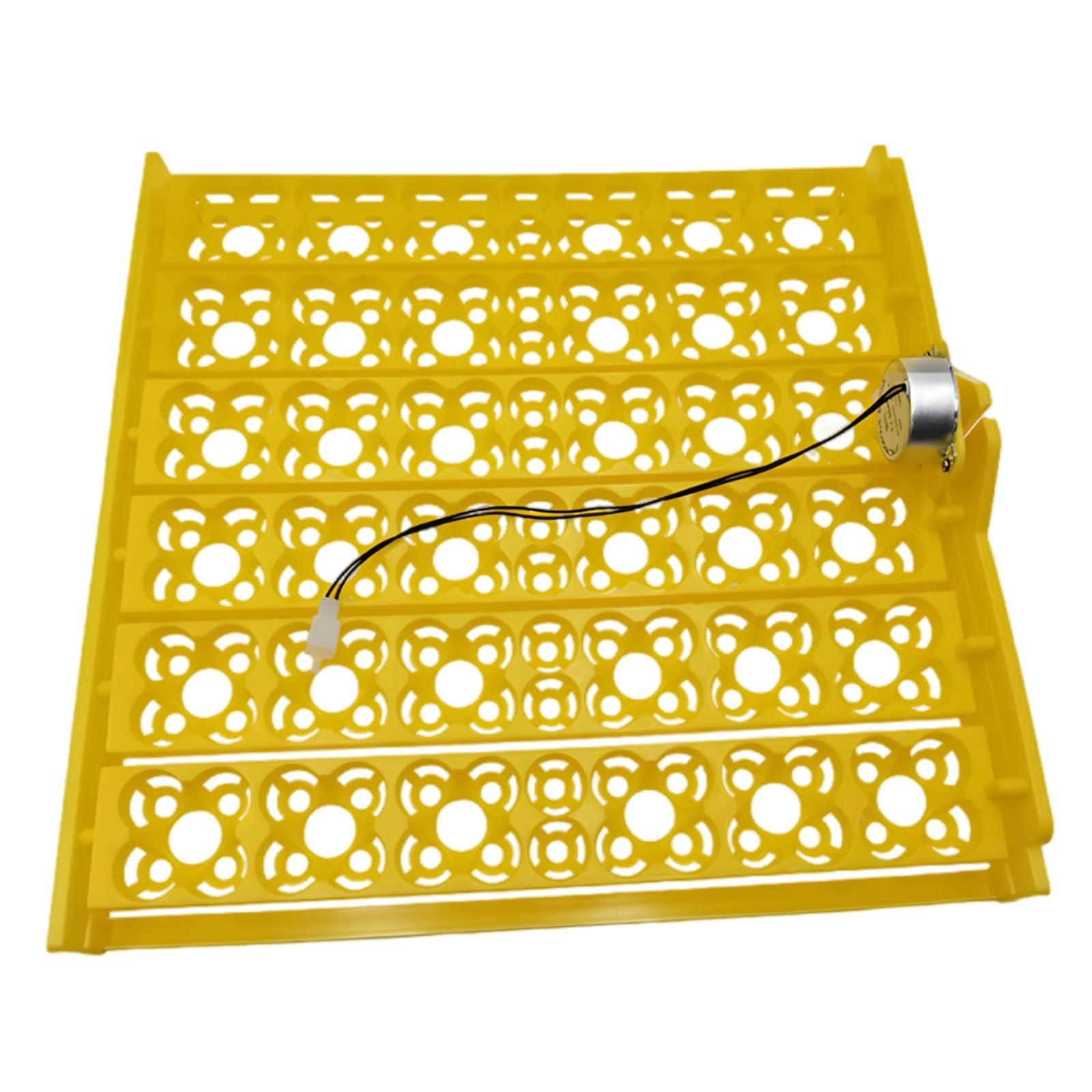 Tornitore automatico per uova per incubatrici, capacità 36 uova, motore 110V, rack di plastica per anatra, quaglia, uova di gallina