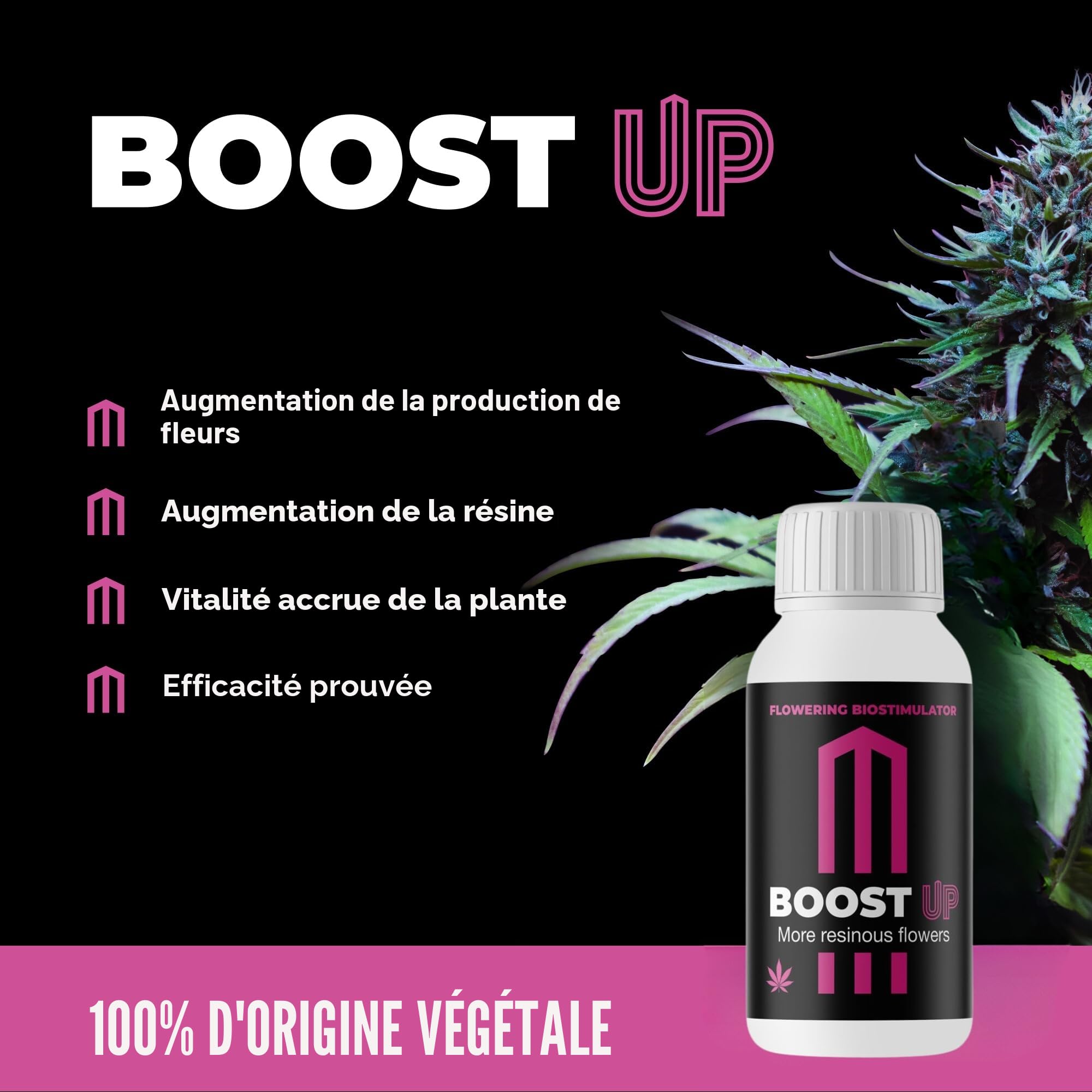 GROWMANIA Fish Mix de BioBizz 5 l + échantillon Boost Up Nutrients + Verre doseur | Engrais organique de haut volume | Pour grands jardins et potagers extensifs