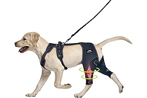 Tailwind Pets Dog Knee Brace: Ultimate Support for Canine Comfort