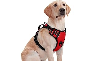 Rabbitgoo Dog Harness: Red Safety and Comfort for Medium-Sized Canines